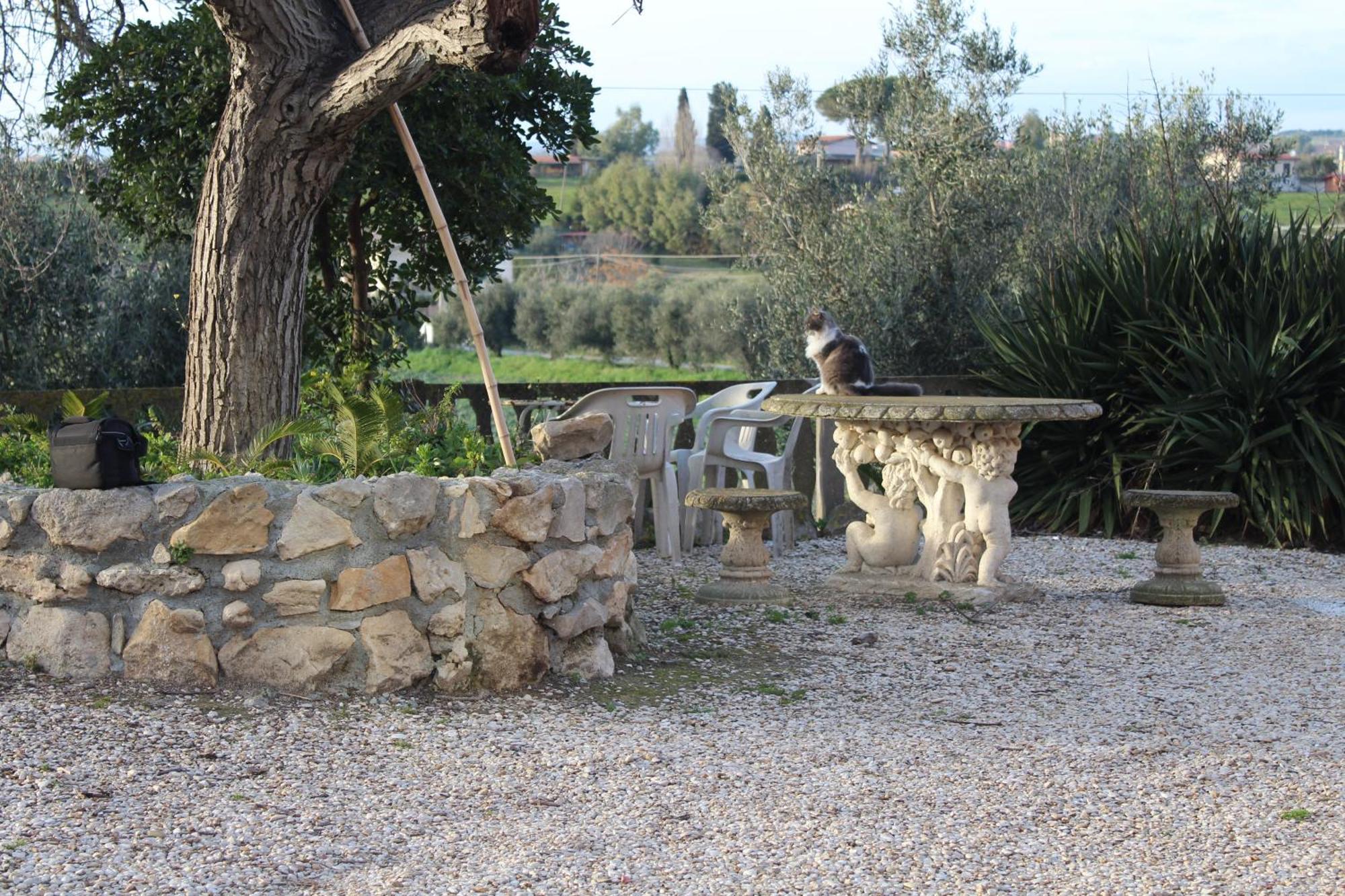 Le Casette In Collina Cerveteri Eksteriør billede