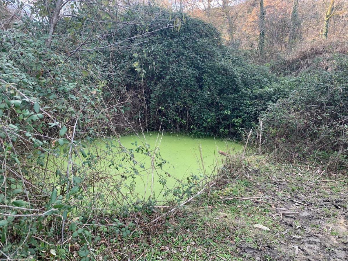 Le Casette In Collina Cerveteri Eksteriør billede